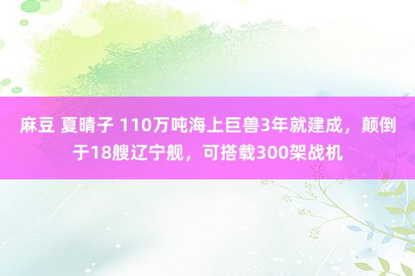 麻豆 夏晴子 110万吨海上巨兽3年就建成，颠倒于18艘辽宁舰，可搭载300架战机