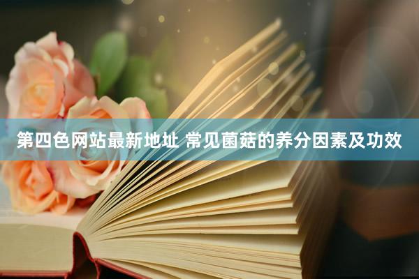 第四色网站最新地址 常见菌菇的养分因素及功效