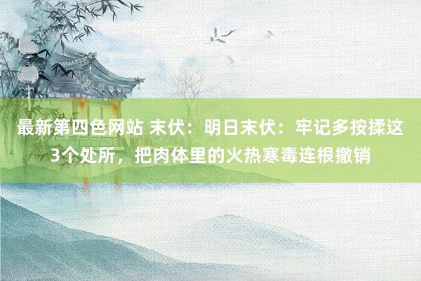 最新第四色网站 末伏：明日末伏：牢记多按揉这3个处所，把肉体里的火热寒毒连根撤销