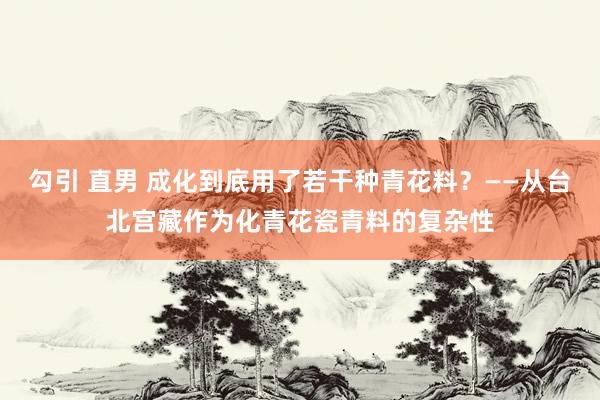 勾引 直男 成化到底用了若干种青花料？——从台北宫藏作为化青花瓷青料的复杂性