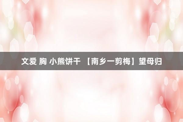 文爱 胸 小熊饼干 【南乡一剪梅】望母归