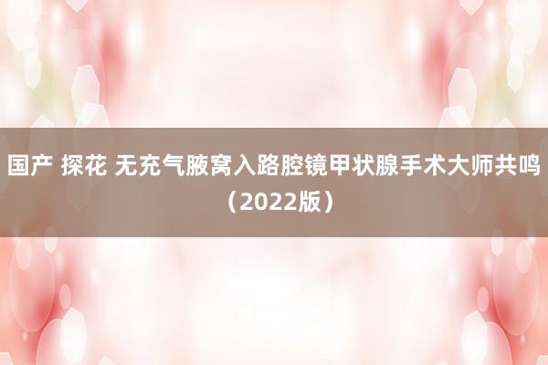 国产 探花 无充气腋窝入路腔镜甲状腺手术大师共鸣（2022版）